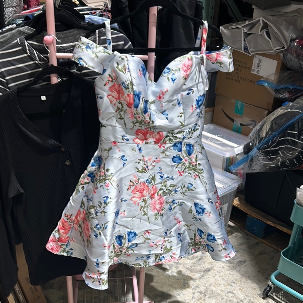 Windsor Blue and Pink Floral Dress